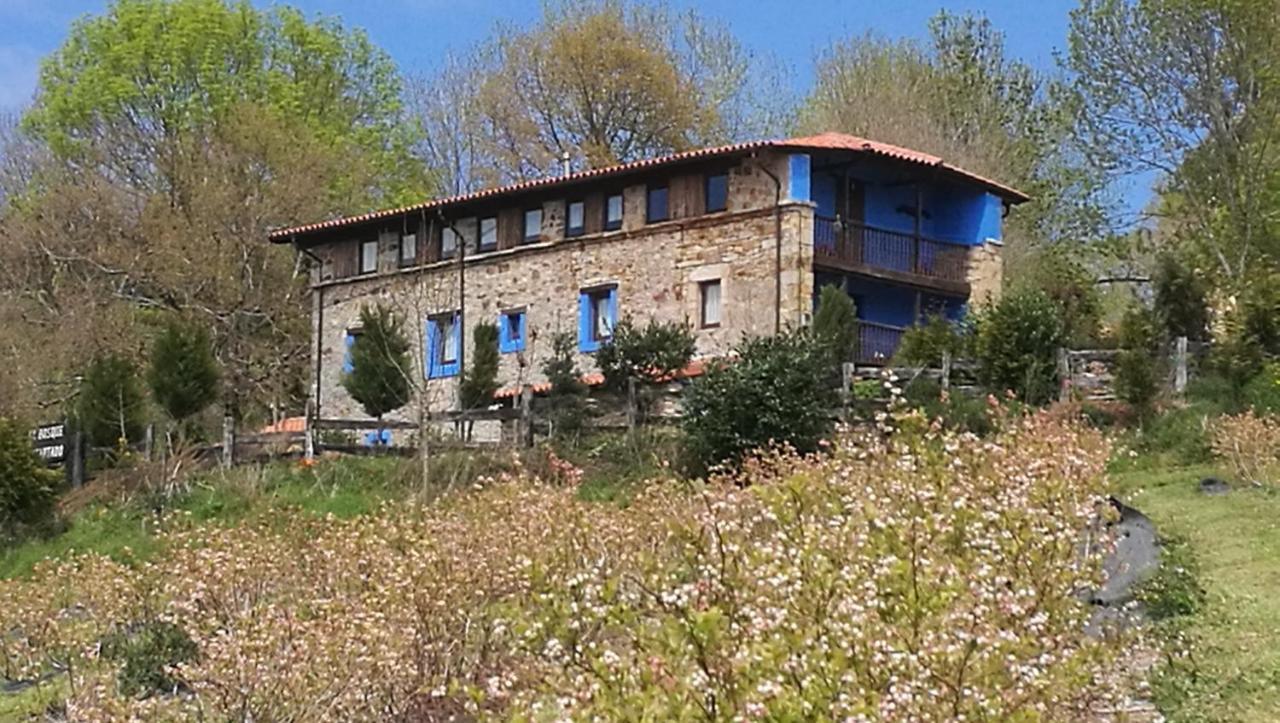 Elbosqueencantadocantabria Villa Ampuero Bagian luar foto
