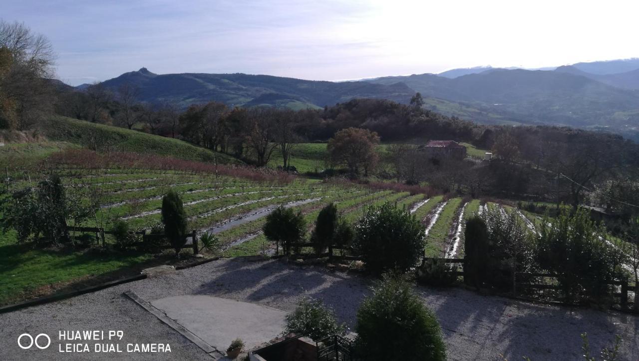 Elbosqueencantadocantabria Villa Ampuero Bagian luar foto